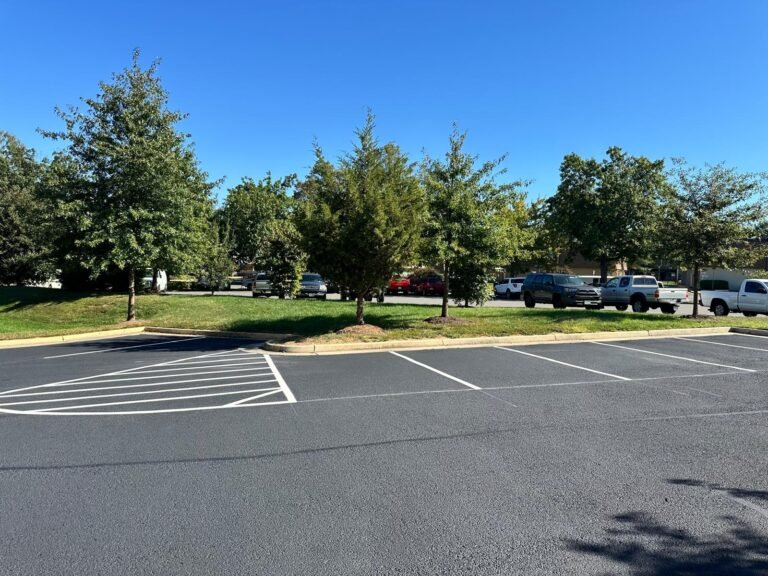 park7